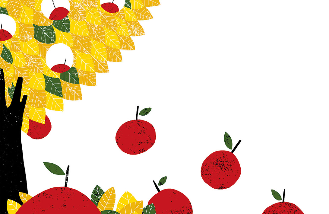 Cristina Martin apple tree illustration