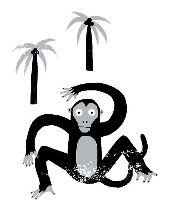 Cristina Martín ilustración monos